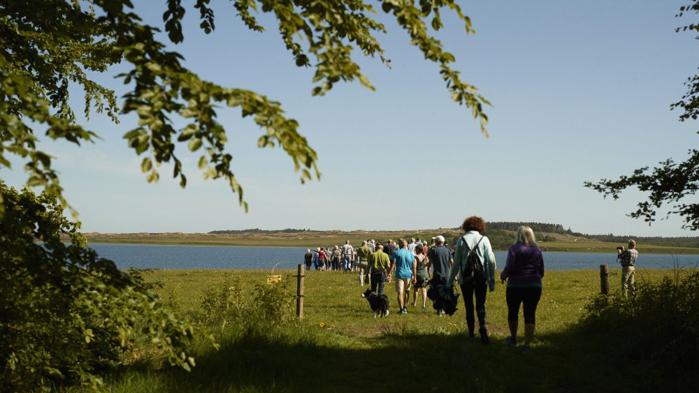 Mennesker vandrer i Nationalpark Thy