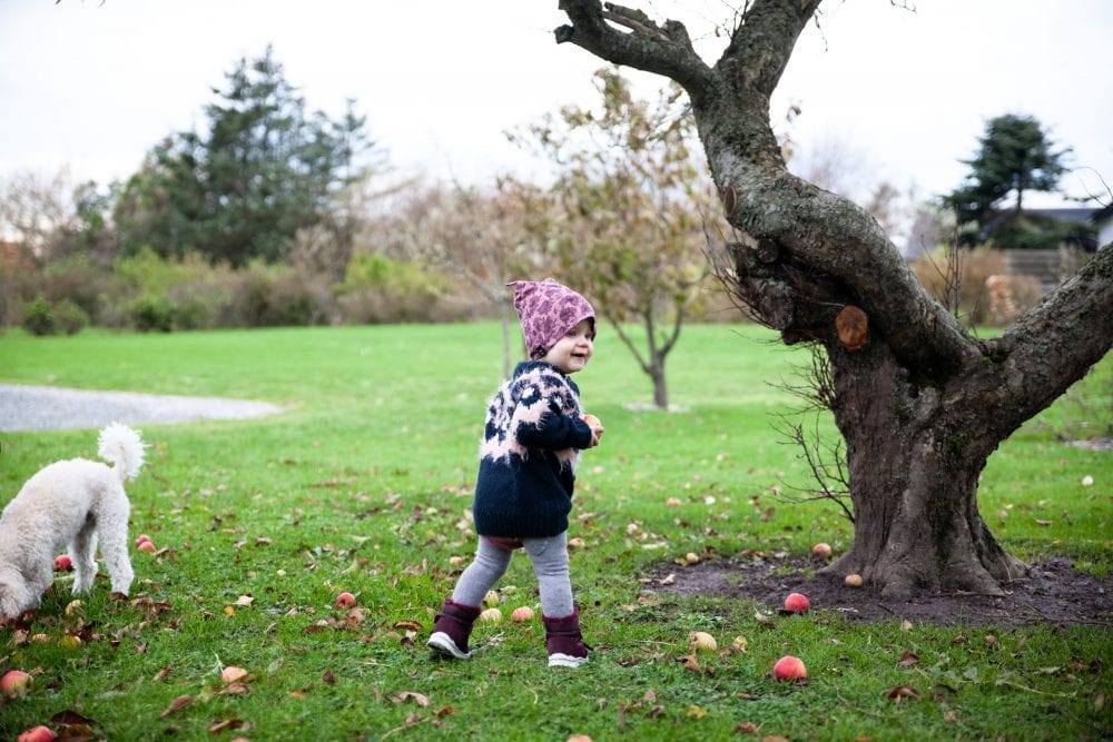 Barn i have med hund