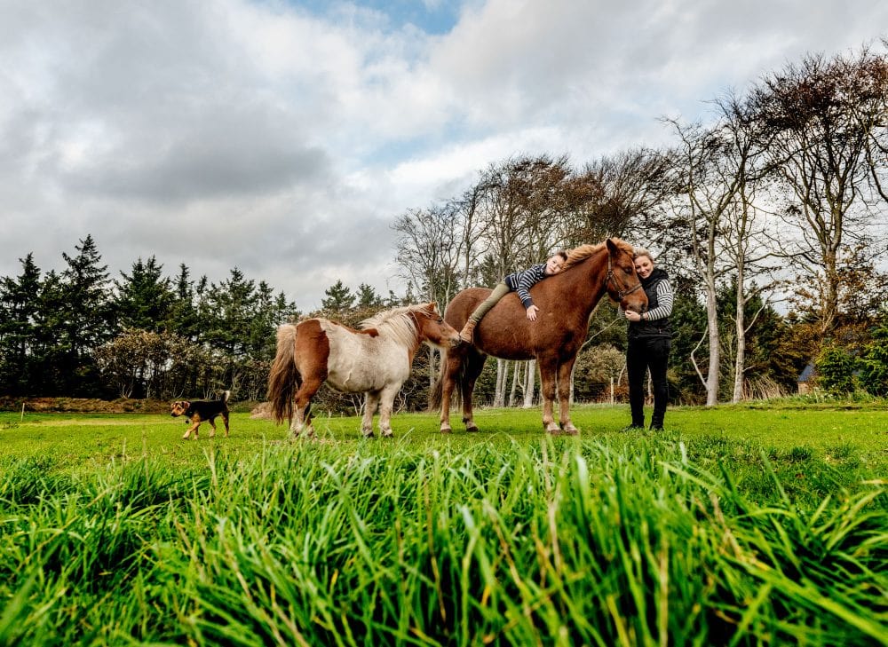 Mor og søn med heste