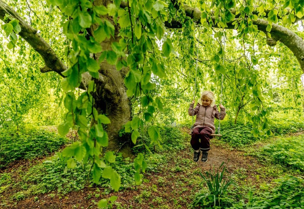 en pige gynger i et træ i en skov