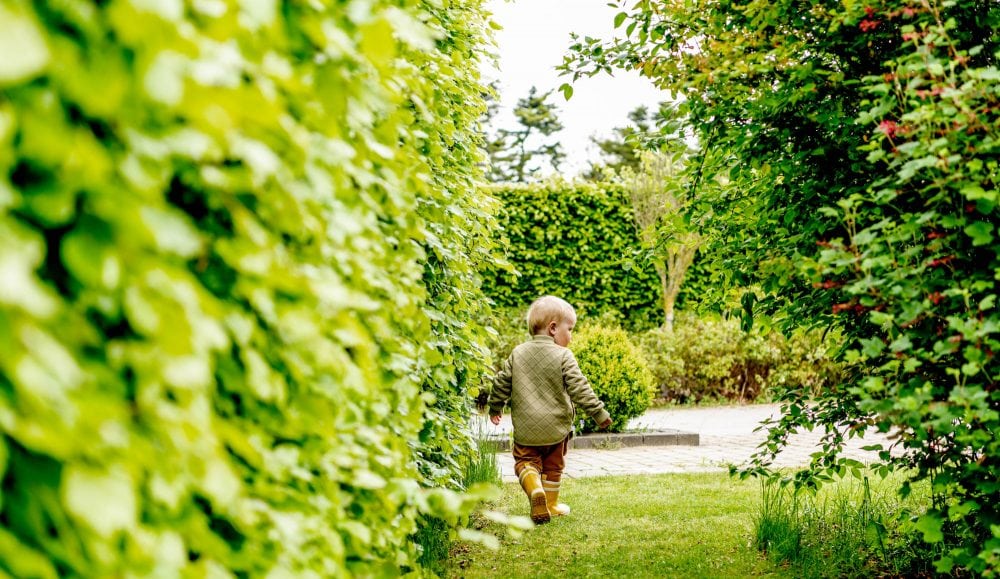 en baby går i en have mellem hække og buske