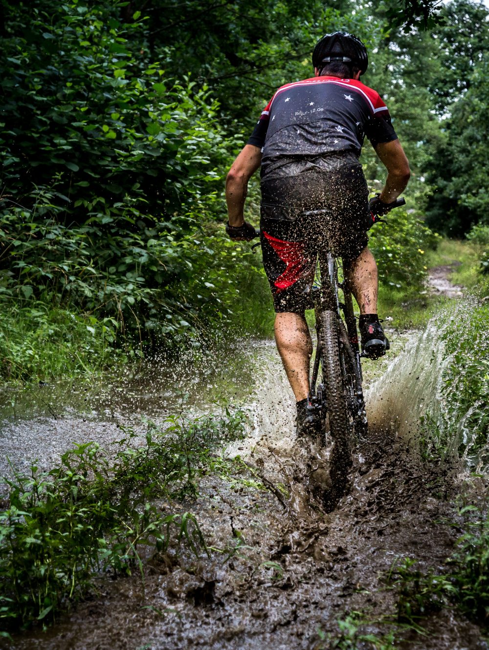 Mand cykler mountainbike i skoven