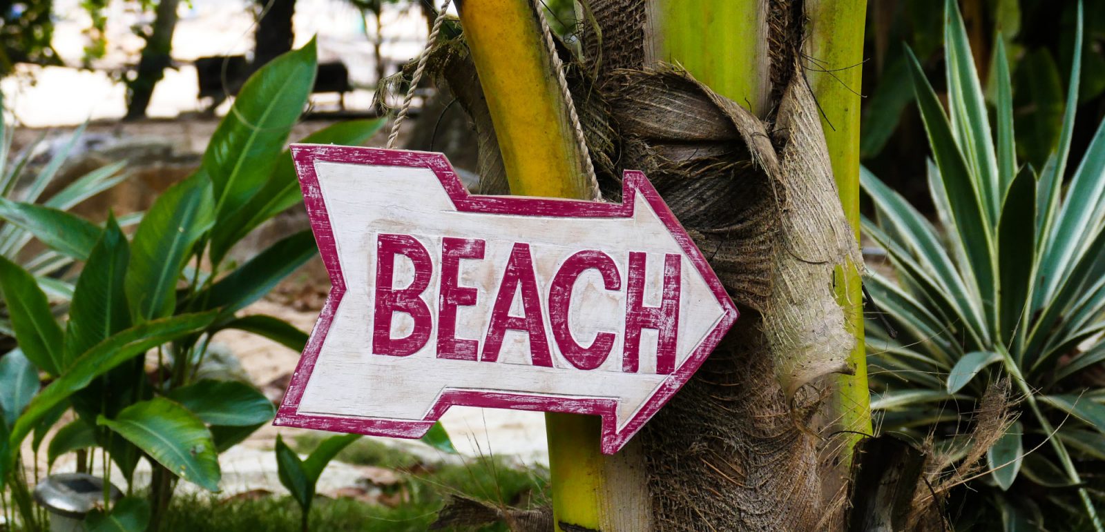 Rejseforsikring til unge. Få alle fordelene med vores rejseforsikring til unge.