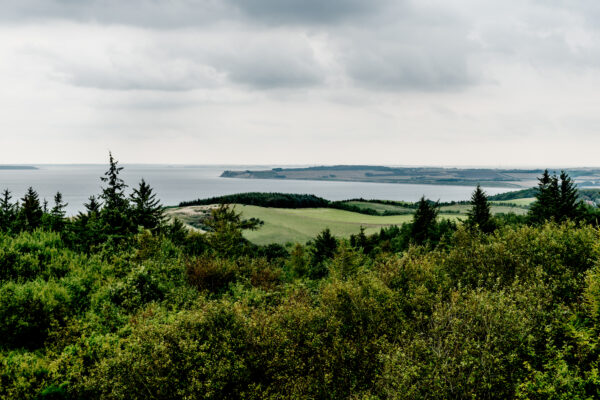 Udsigt over Limfjorden fra bakkerne på Mors. Bliv forsikret i et lokalt forsikringsselskab.